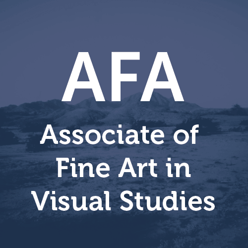 AFA in Visual Studies