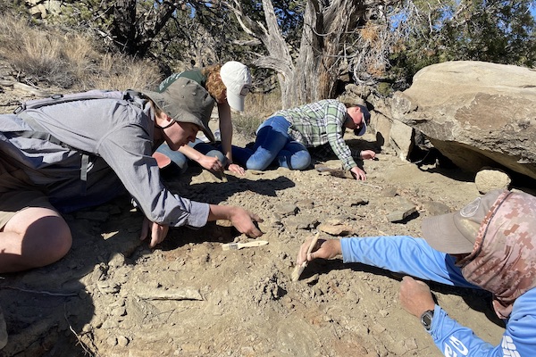 Geology students in the field