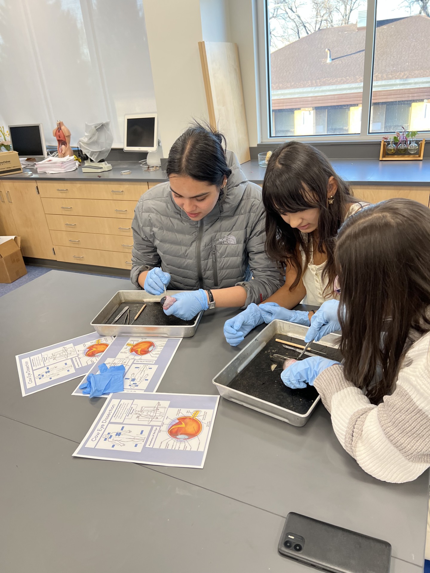 Students disecting an eye.