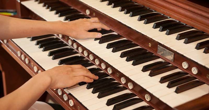 Organ