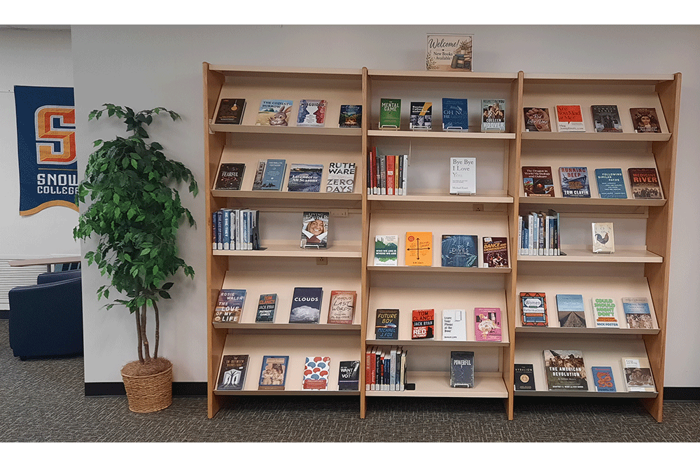 Richfield Library - New Book Display