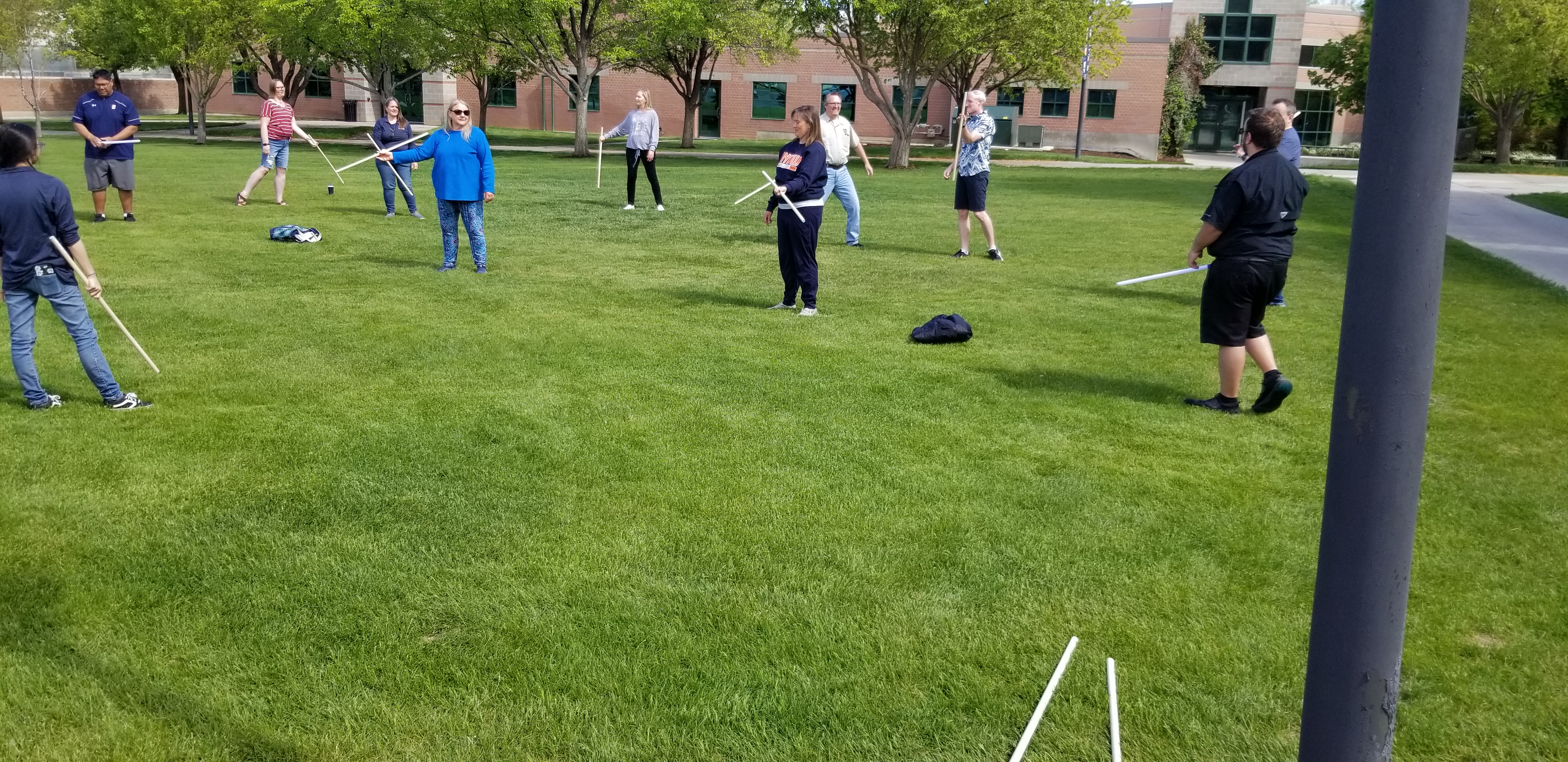 People on a grass field waving sticks